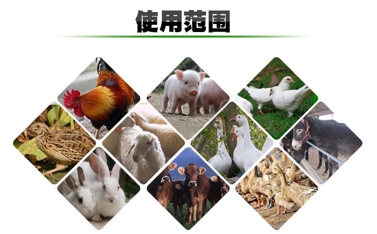 烘干机