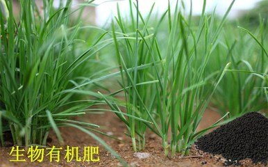 生物有机肥
