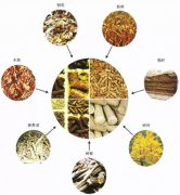 生物质燃料充当干燥设备热源有哪些意义?