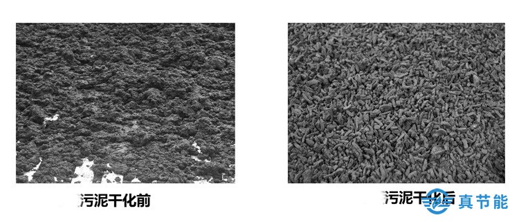干化后的污泥的优势