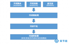 污泥处置详解：危废污泥处理的步骤是什么？