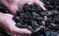 一台煤泥干化设备报价是多少钱